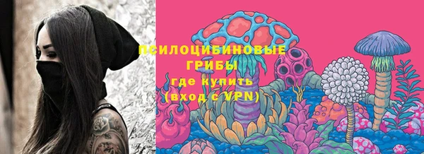 амф Балахна