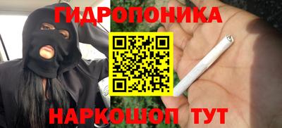 круглые Тара