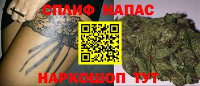 стаф Тверь