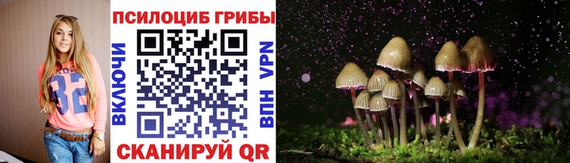 Галлюциногенные грибы MAGIC MUSHROOMS  Нерюнгри 