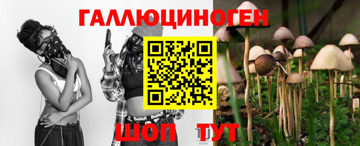Галлюциногенные грибы Psilocybe Нерюнгри