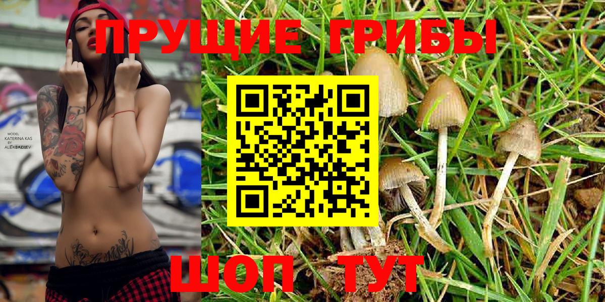 Псилоцибиновые грибы MAGIC MUSHROOMS  магазин продажи наркотиков  Псилоцибиновые грибы Cubensis  Нерюнгри  Вход с VPN 