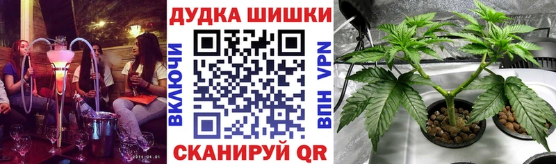 купить наркоту  Нерюнгри  Канабис Amnesia 